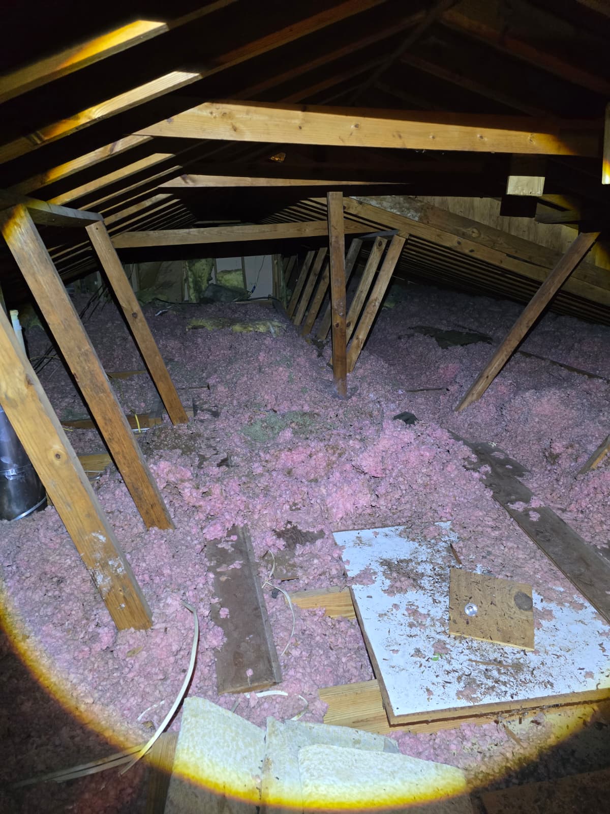 Insulation Removal - Image